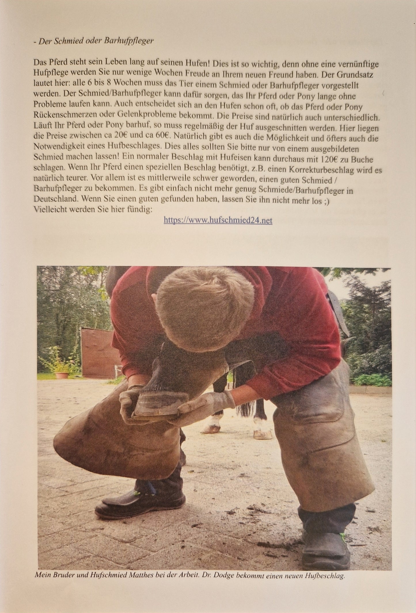 Kleiner Elternratgeber zum Pferdekauf